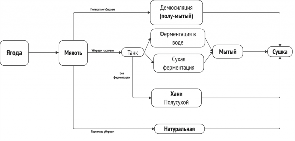 Реальный взгляд на ферментации Реальный взгляд на ферментации